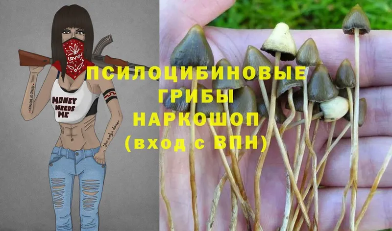 Псилоцибиновые грибы MAGIC MUSHROOMS  где купить   ОМГ ОМГ ссылка  Углегорск 